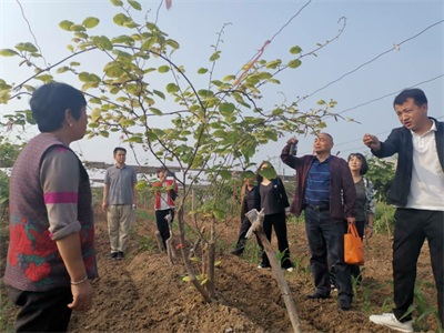 5月11日李晓明治溃疡病_看图王.jpg